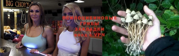 МДПВ Алексеевка
